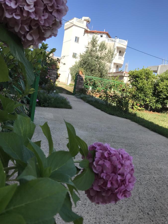 Villa Roku 사밀 외부 사진